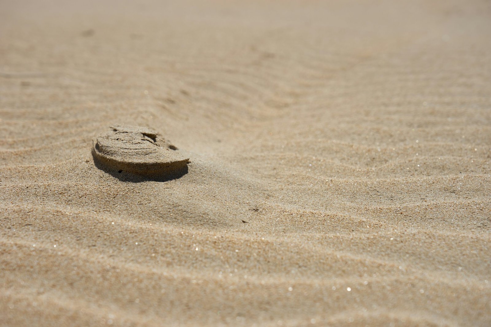 Community Sand Sculpting Events: Unleashing Creativity and Building Stronger Communities