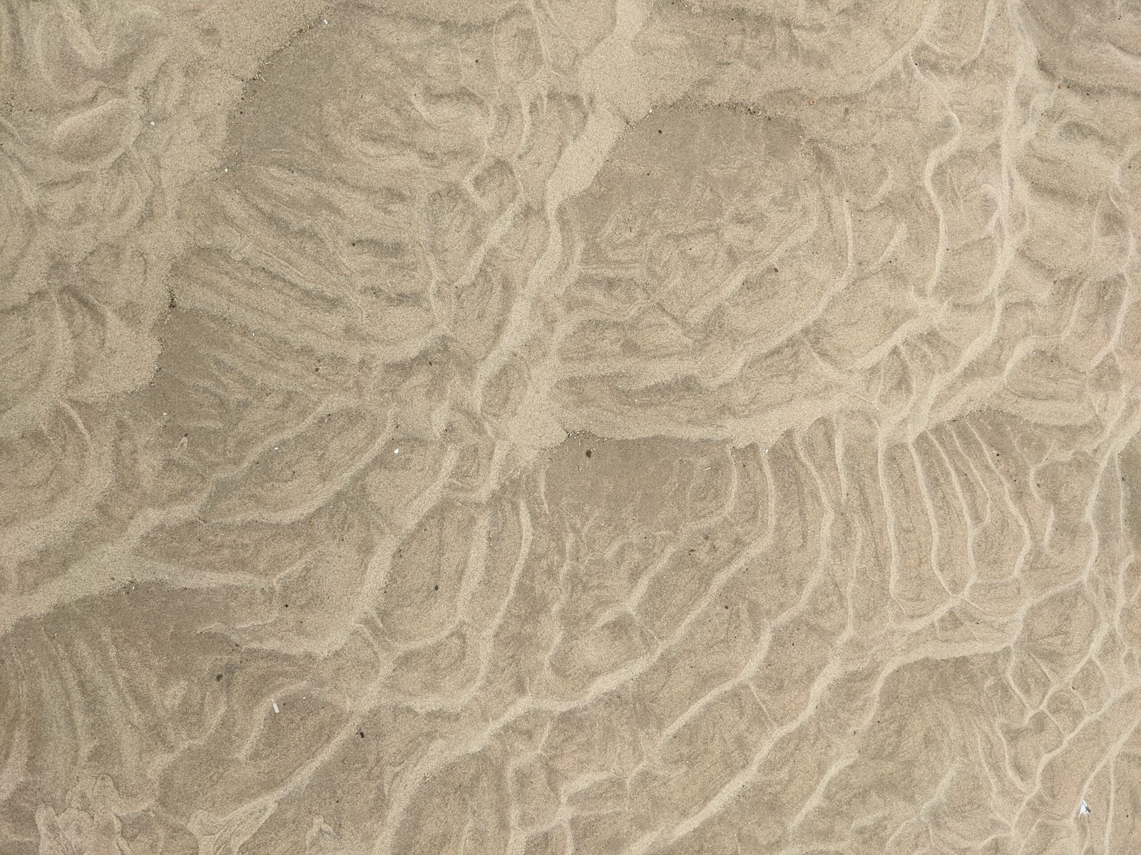 Exploring Coastal Sand Creations: Nature’s Masterpieces